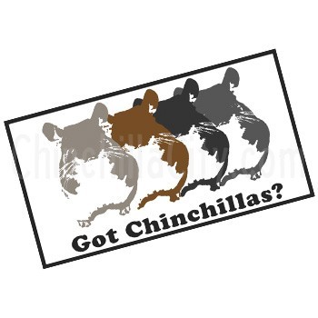 "Got Chinchillas?" Magnet